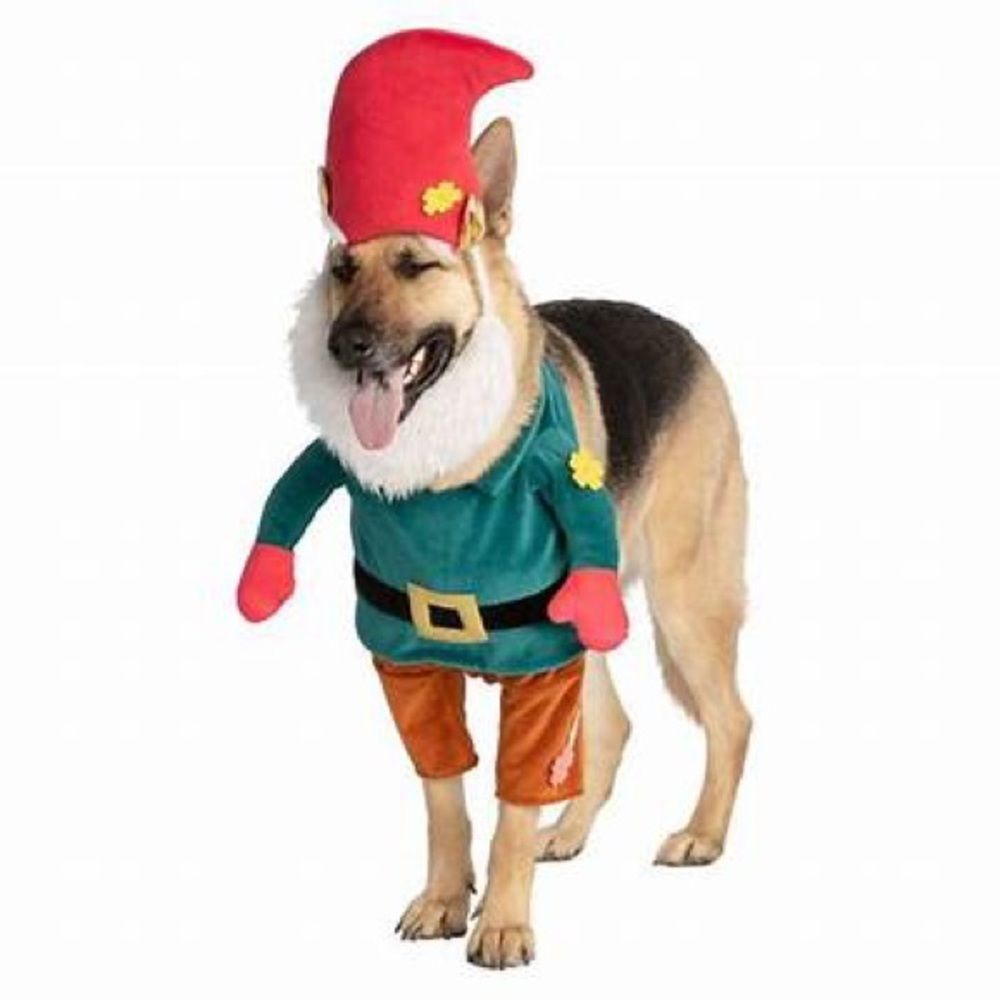 New Thrills and chills Halloween Gnome pet Costume for Dogs or Cats L